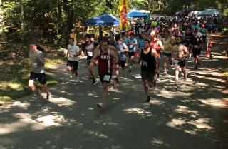 Click for video: 26start.mp4  (12 Mb)